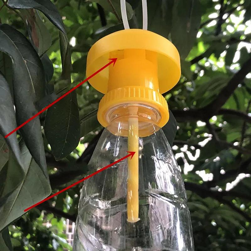 Fruit Fly Trap Cap | Drosophila Catcher for Home, Farm & Orchard