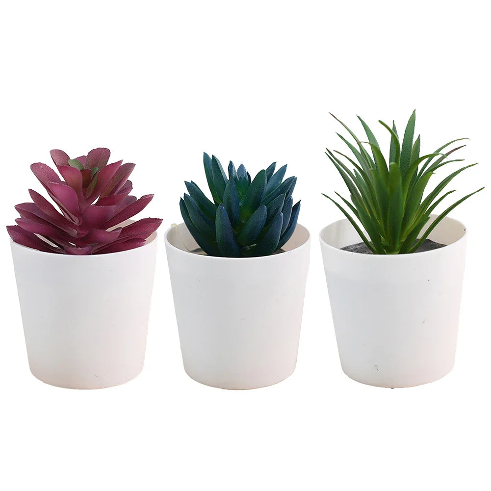 Artificial Succulent Bonsai Set of 3 – Faux Desktop Decor