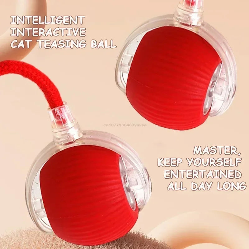 Automatic Rolling Interactive Cat Ball Toy – Rechargeable