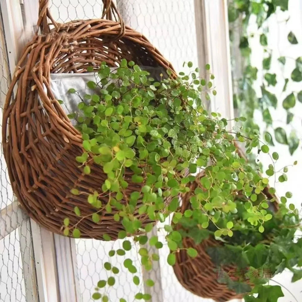 Handmade Wicker Hanging Flower Basket | Wall Planter