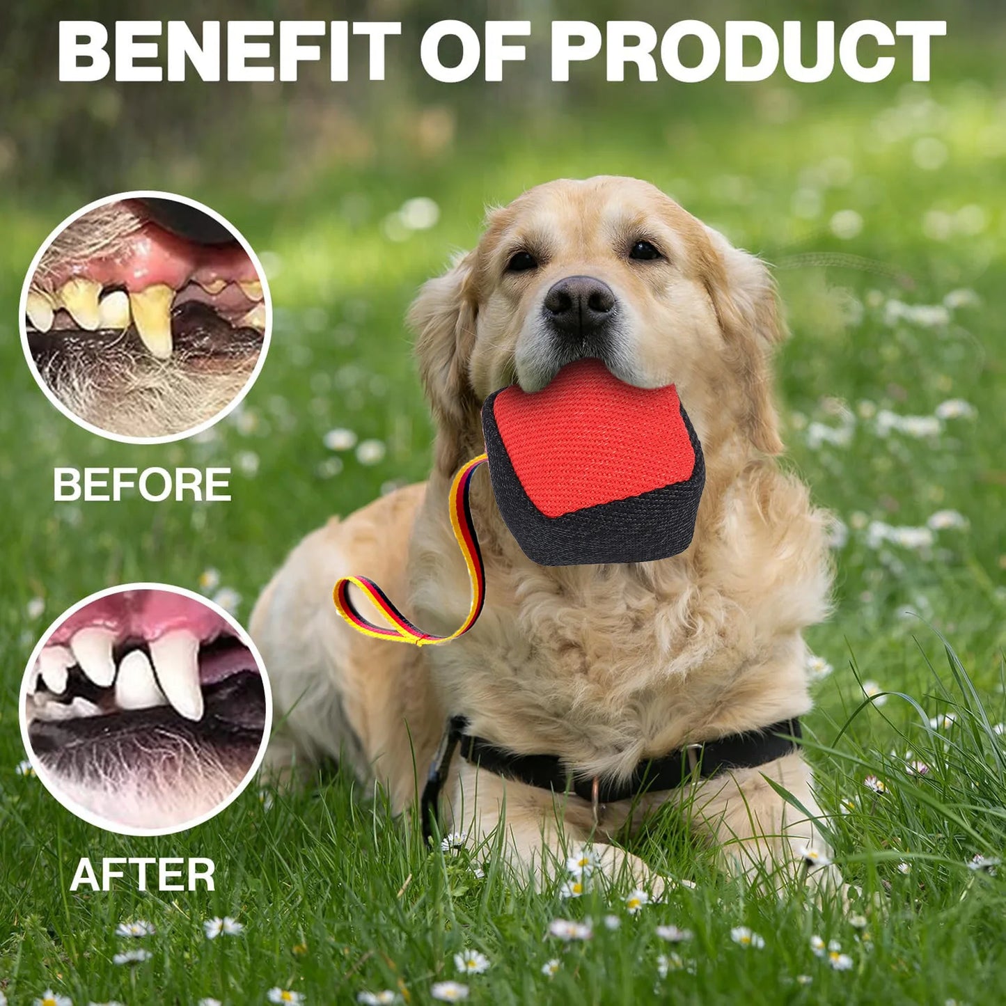 Dog Toy Training Chew Interactive Tear Resistant Multifunctional