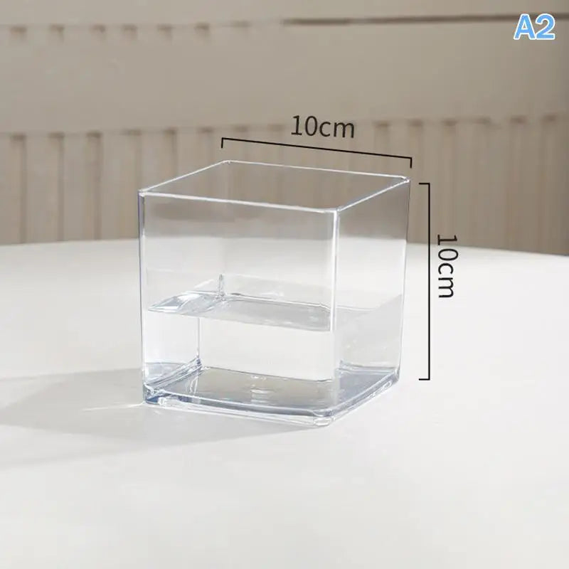 Transparent Acrylic Plant Pot | Square & Round Bonsai Planter