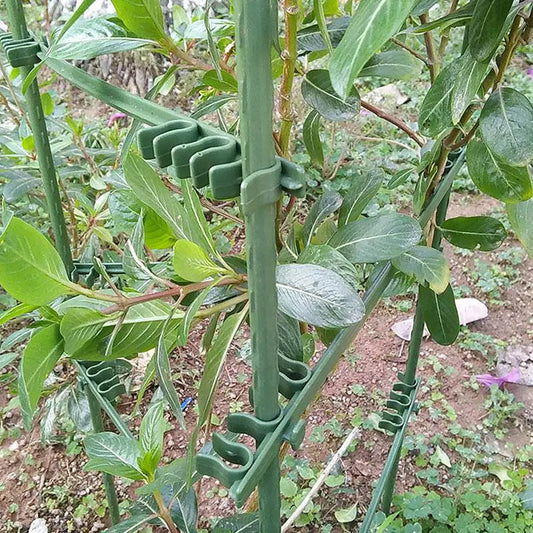 50Pcs Compact Reusable Plastic Gardening Clip Tomato Support Buckle Cucumber Vine Trellis Connector for 8Mm Round Tube Plant Peaceful Pleasures Health and Wellness 28X1CM