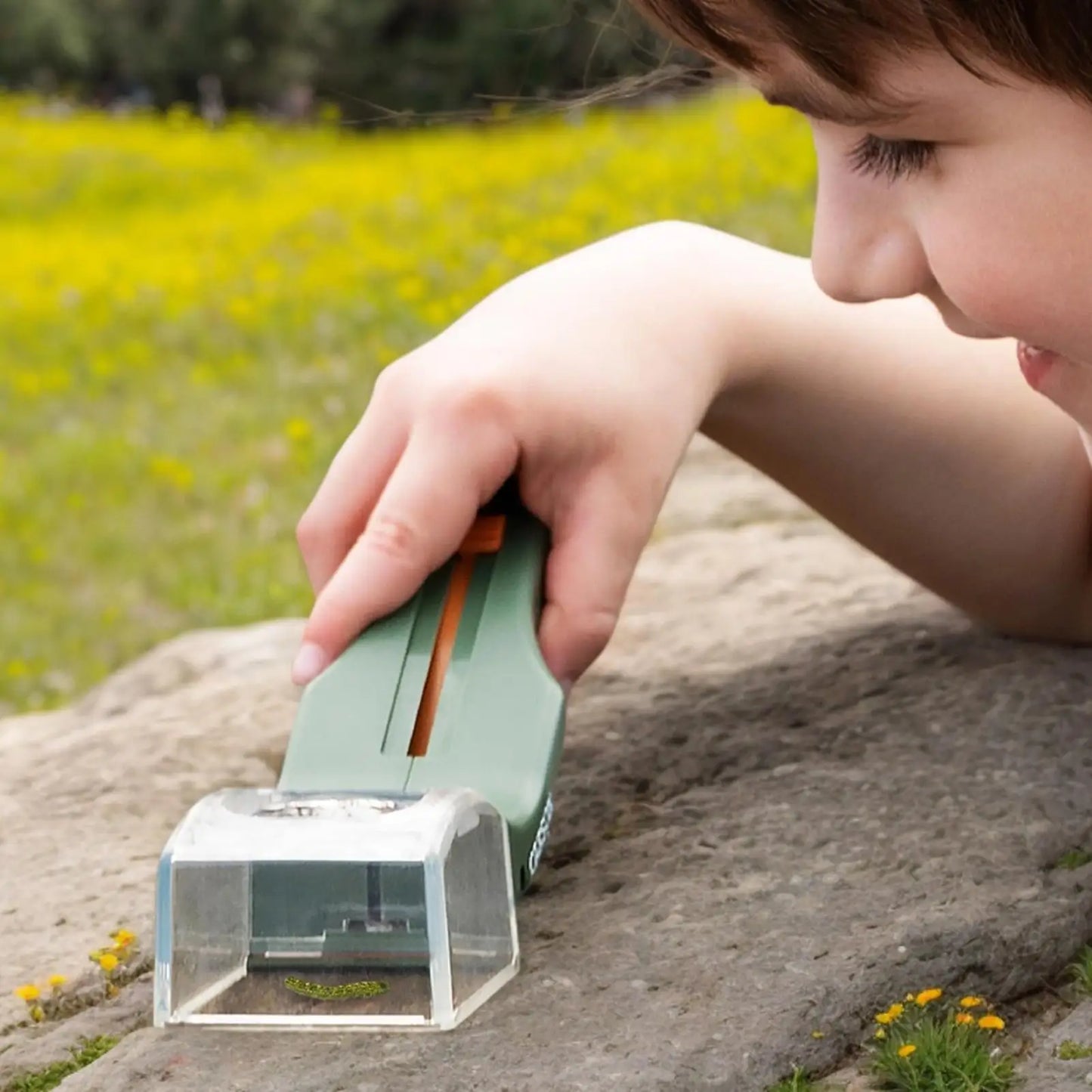 Bug Catcher & Magnifier Tool for Kids & Adults | Insect Viewer