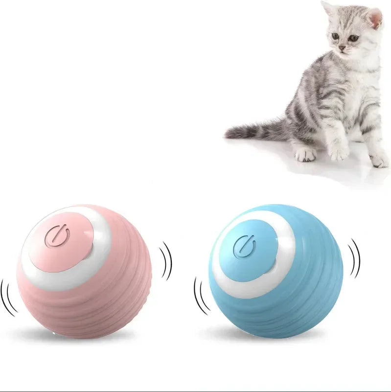 Electric Auto-Rolling Cat Ball Toy | USB Rechargeable Interactive