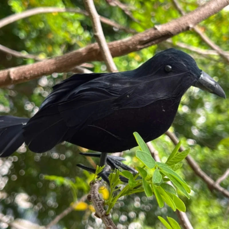 Realistic Black Crow Halloween Decoration – Flocked Feather Prop