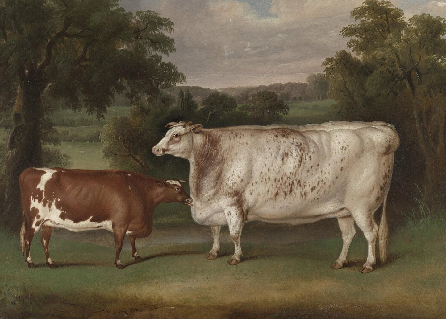 Vintage Rural Antique Animals Poster Cows in The Forest and Pasture Canvas Painting Farmhouse Wall Art Picture Office Home Decor Peaceful Pleasures Health and Wellness