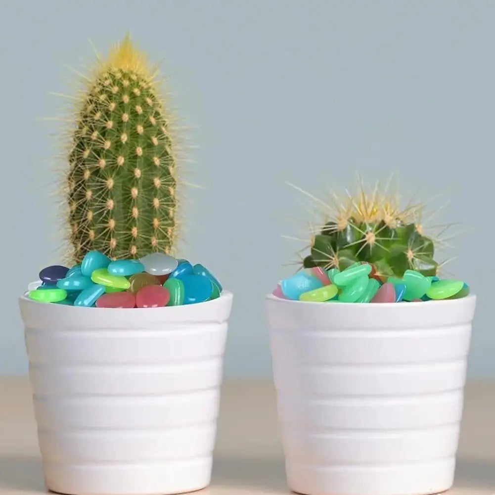 Glow In The Dark Pebble Stones | Multicolor Luminous Garden Rocks