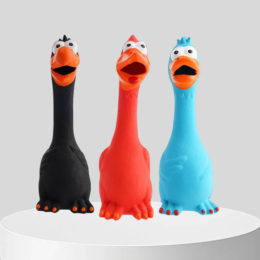 Squeaky Latex Dog Chew Toys – Bone, Ball & Chicken Set Squeaky Dog Toy Oasis Select ABC