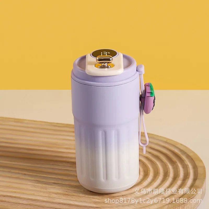 316 Stainless Steel Vacuum Thermos Tumbler | Temperature Display 450ml