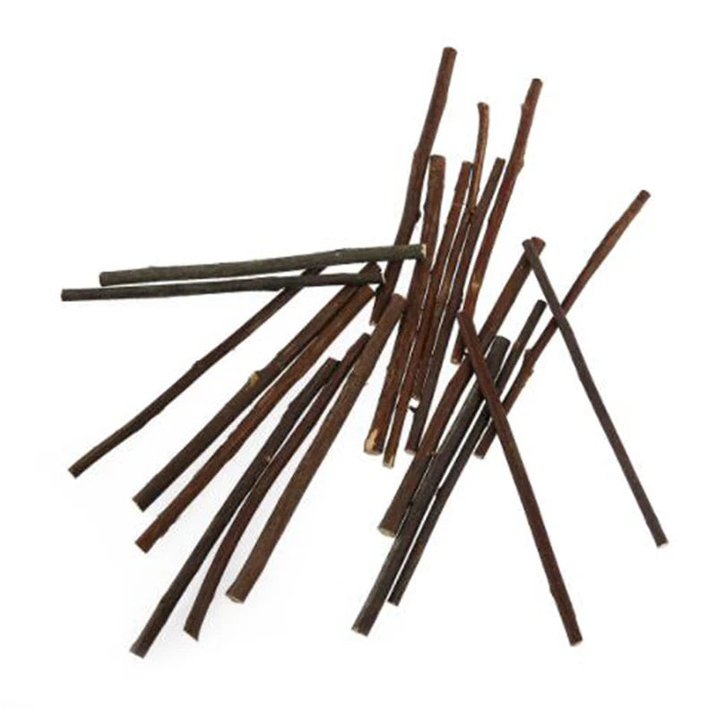 Miniature Wooden Sticks 20pcs for Fairy Garden & Plant Support DIY Natural Craft Supplies for Terrarium Small Birch Dowels Peaceful Pleasures Health and Wellness