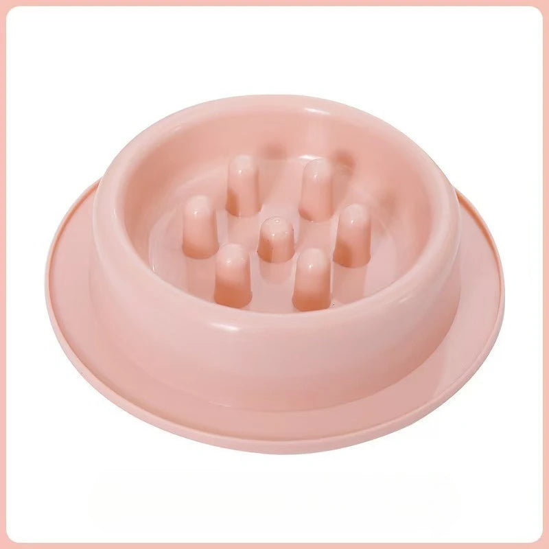 Elevated Anti-Knock Cat & Dog Bowl | High Foot Pet Feeder