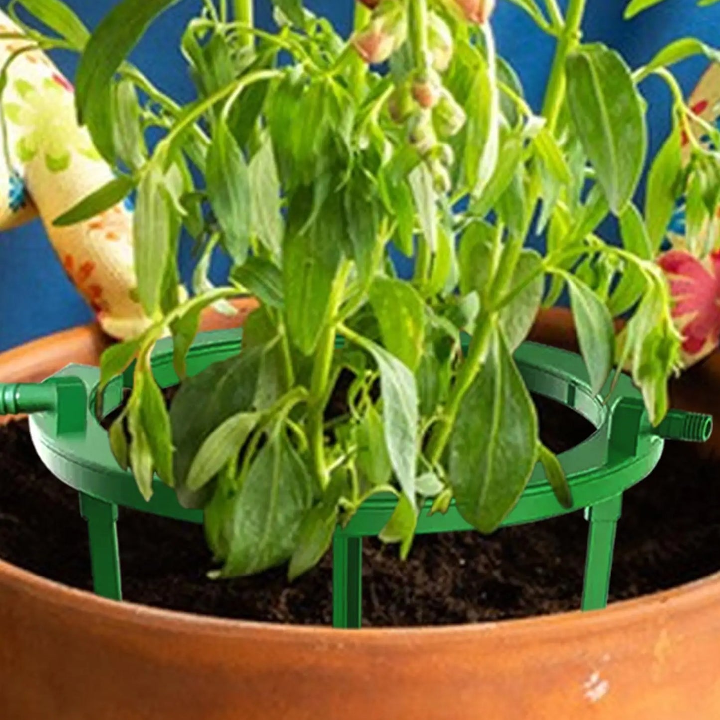 Hydro Halo Drip Irrigation Ring – Plant Watering Kit