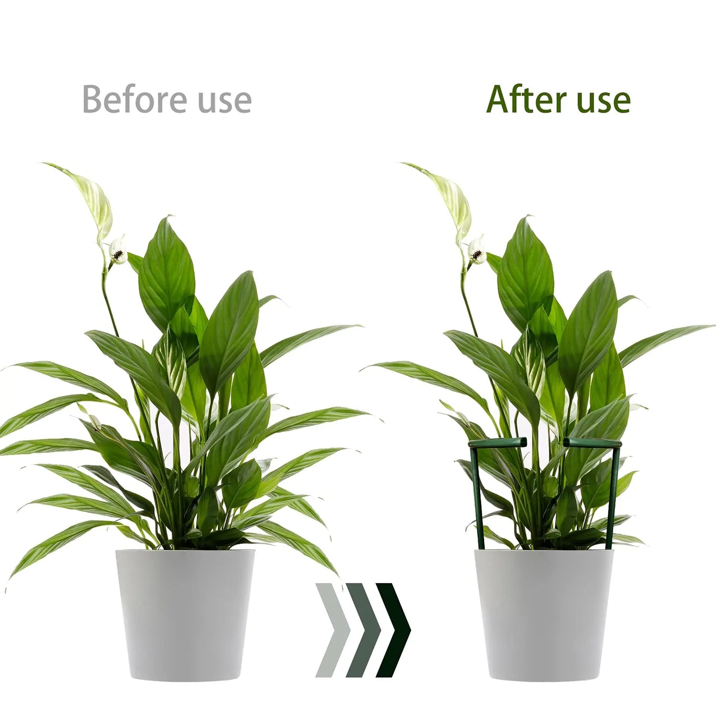 2/4/8PCS Plastic Plant Support Pile Frame Greenhouse Arrangement Semicircle Fixed Rod Indoor Flower Plant Vine Climbing Bracket Peaceful Pleasures Health and Wellness