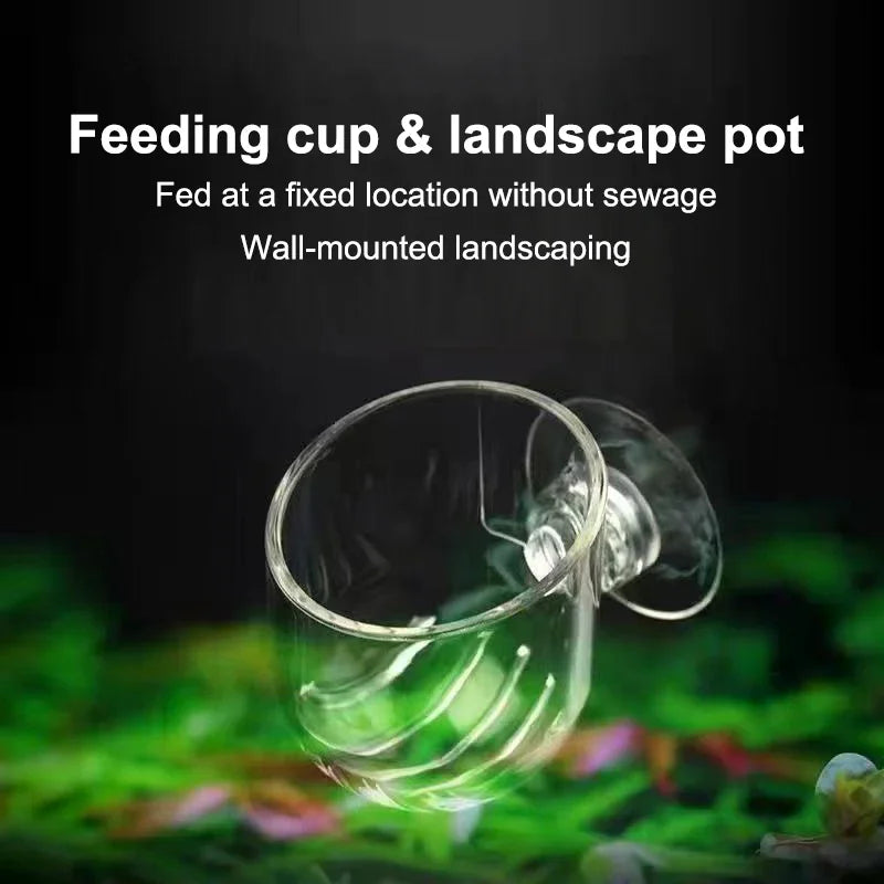 Acrylic Aquarium Plant Cup & Fish Feeding Container | Suction
