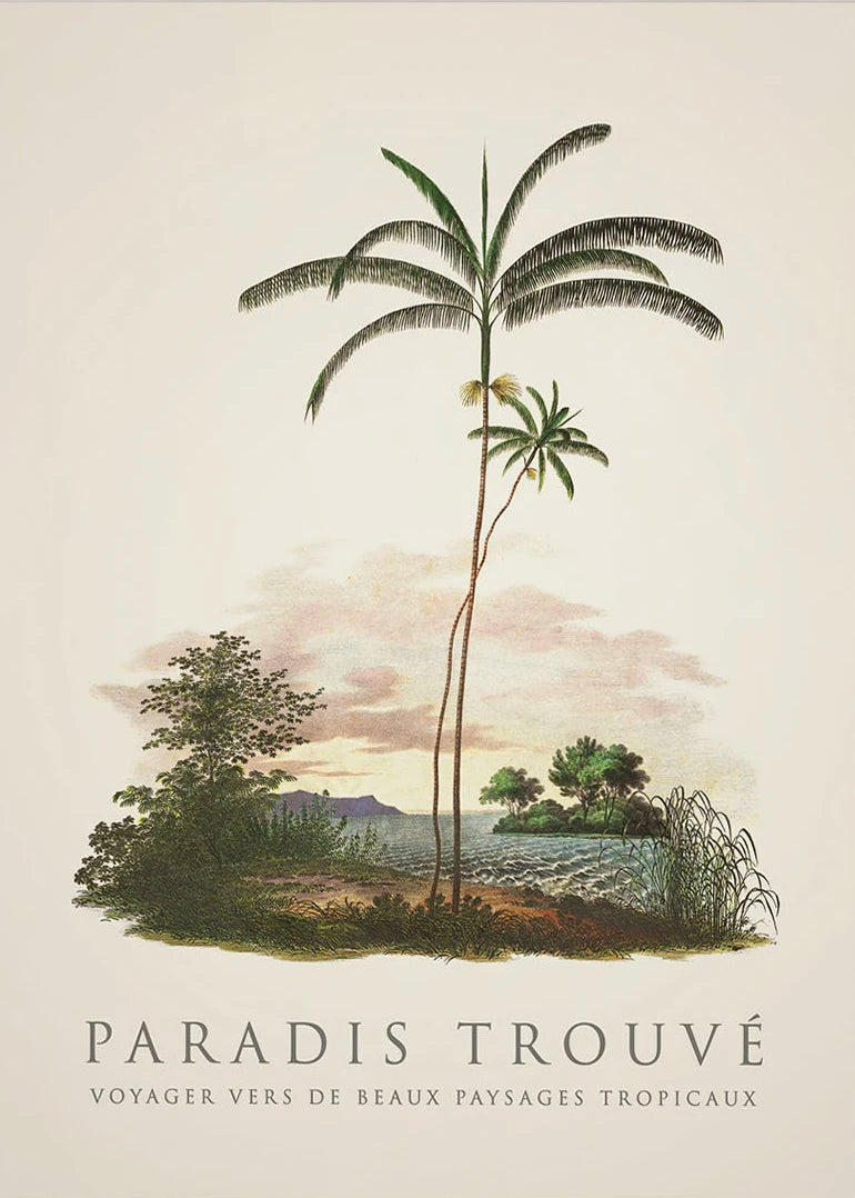 Tropical Palm & Banana Tree Vintage Botanical Canvas Wall Art Botanical Canvas Print Peaceful Pleasures Health and Wellness 1 20x30cm