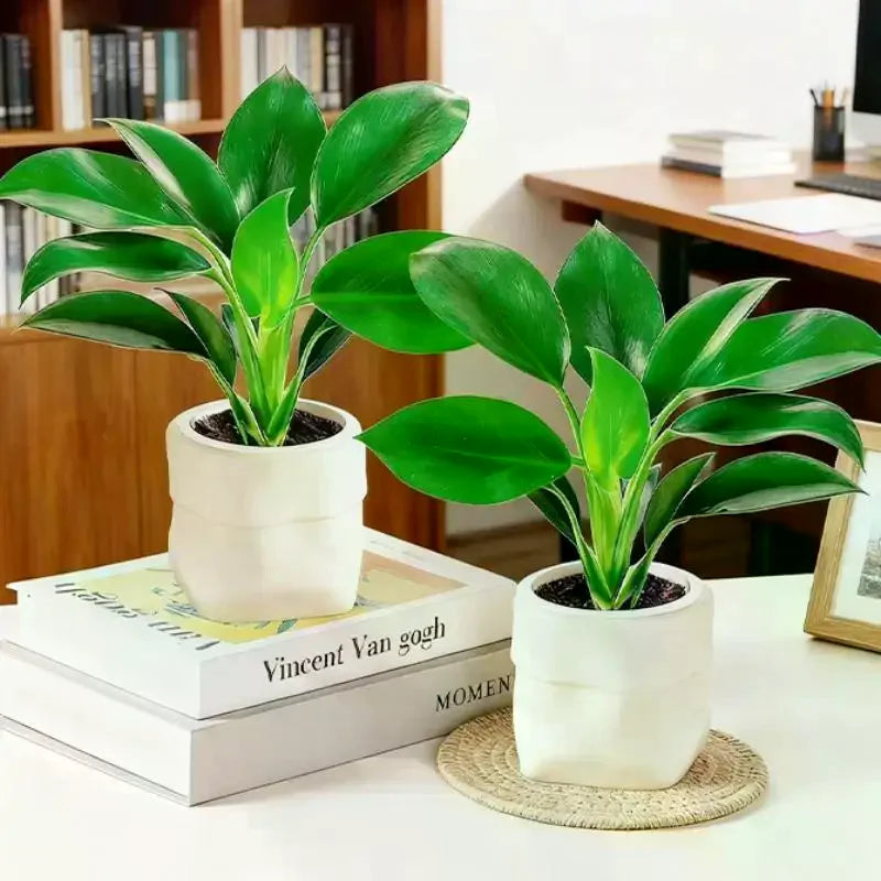 Mini Self-Watering Planter Pot | Fish Tank Vase Home Decor