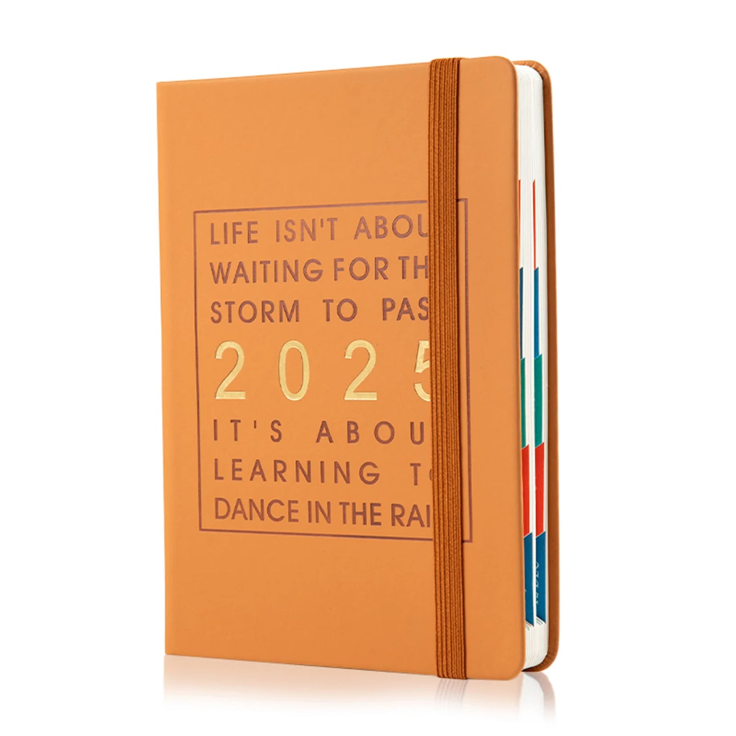 2025 Yearly English Schedule Book 365-day Planner Notebook Time Management Organiser Daily Learn Goal Planner Efficiency Manual Peaceful Pleasures Health and Wellness Brown