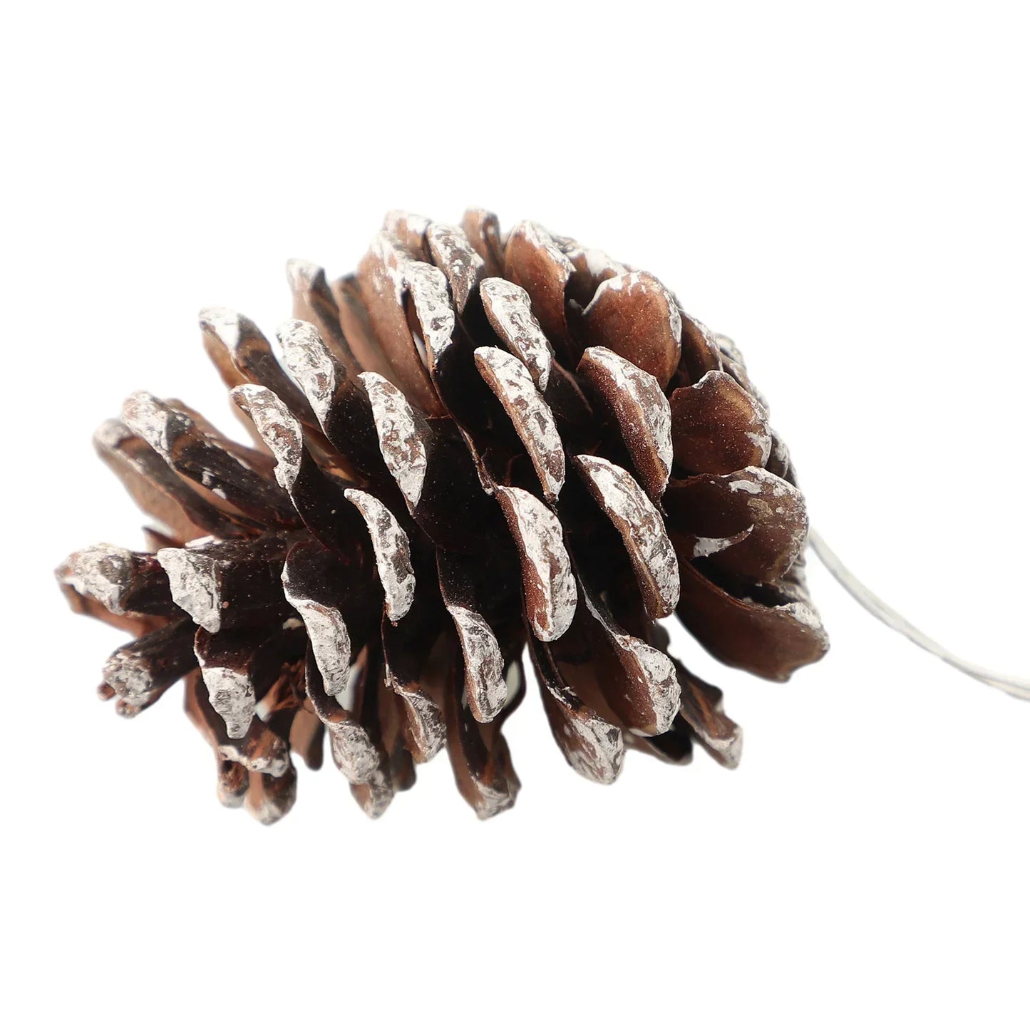 6-Pack Christmas Pine Cone Ornaments 5cm | Wreath & Tree Decor