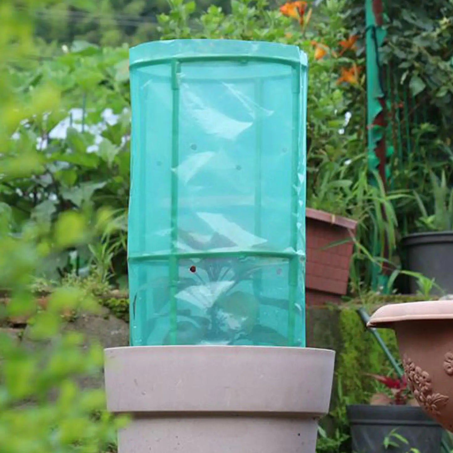 Garden Cloches 4-Pack | Frost & Animal Plant Protection