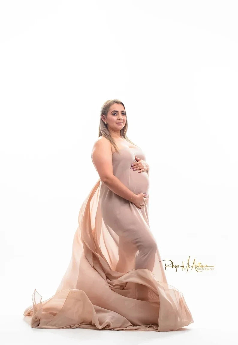 Maternity Chiffon Fabric Draping Maternity Sheer Silky See Through Photo Photography Shoot Prop Drape Peaceful Pleasures Health and Wellness colors 12 1.5X6 M