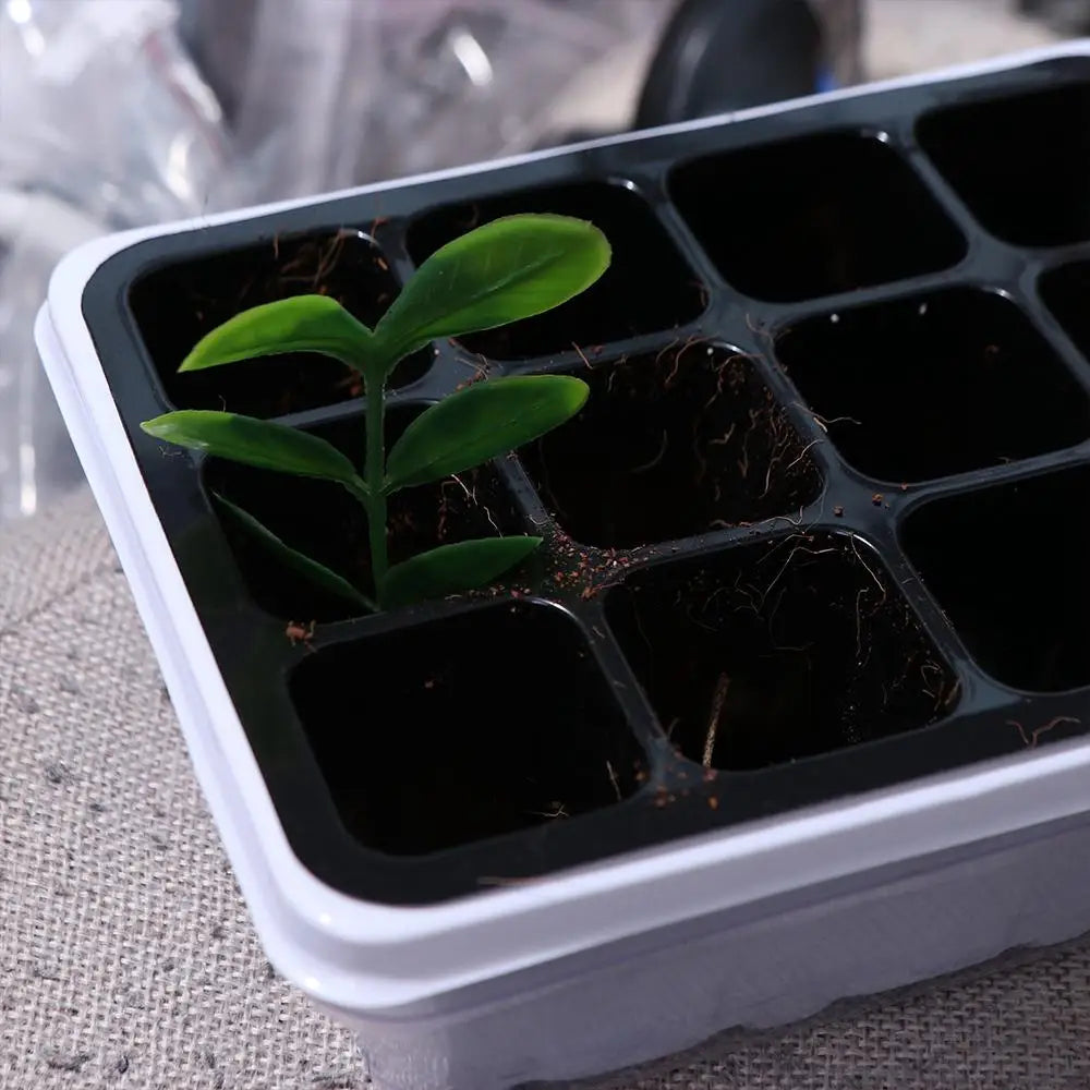 12-Cell Seedling Tray with Cover – Portable Germination Box