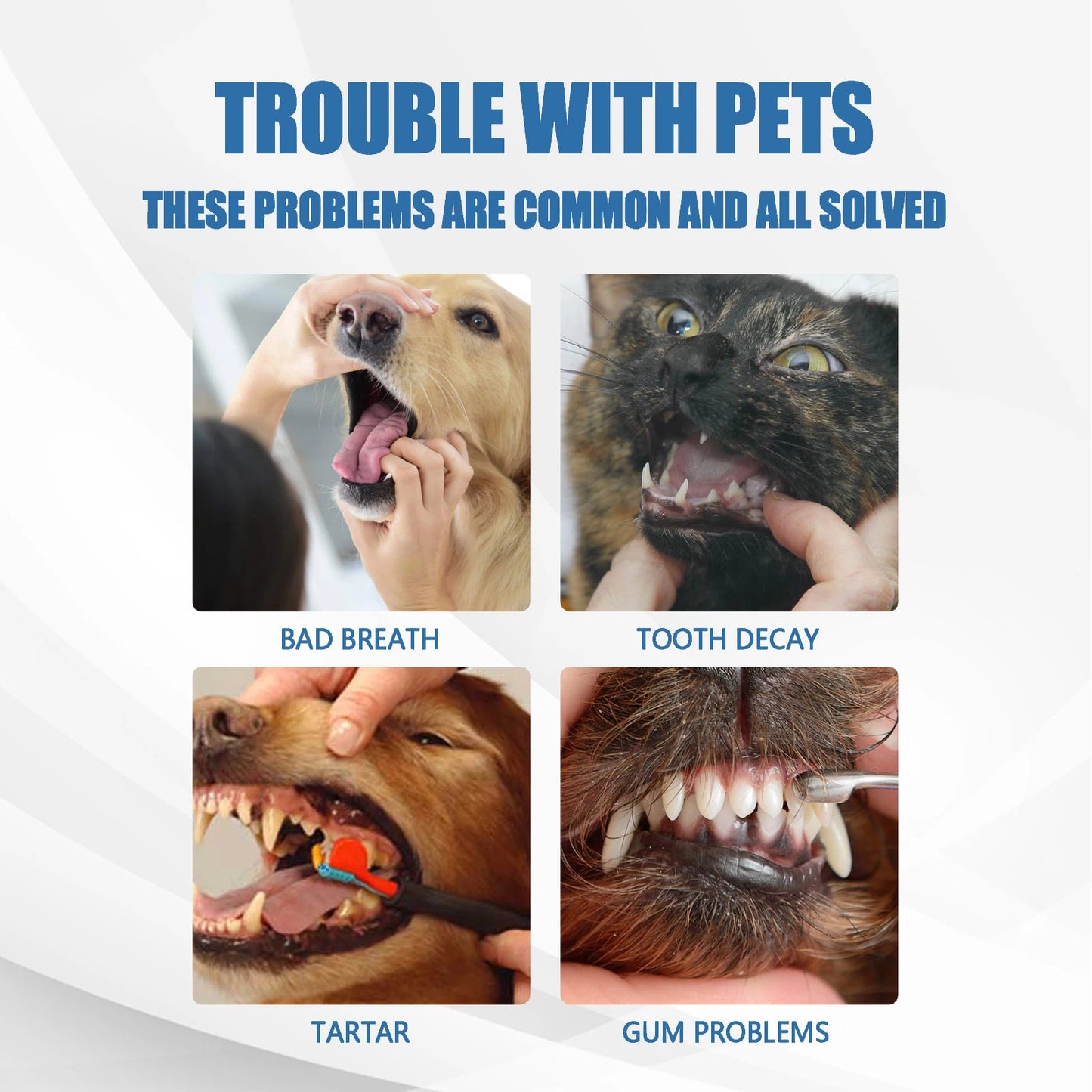 YEGBONG Pet Dental Foam – Tartar & Bad Breath Remover 60ml