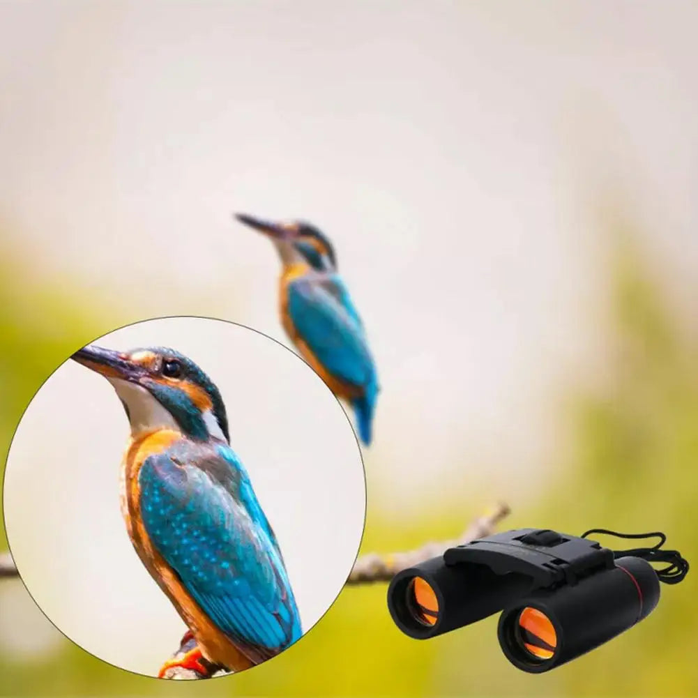 30x60 HD Folding Binoculars | Low Light, Bird Watching, Camping