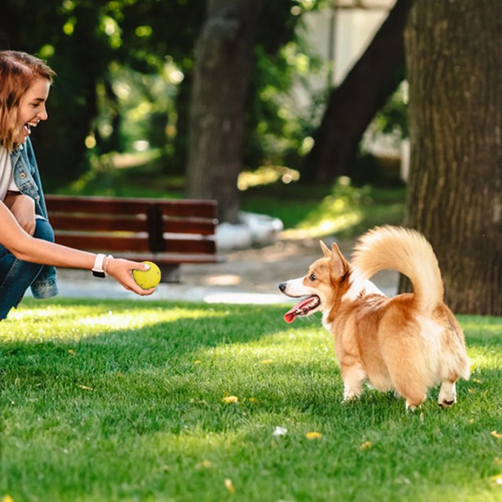 Dog Interactive Toys Squeaker Sound Funny Interactive Toys Anti Bite And Anti-Wear Calming Ball Teeth Grinding Toys Pet Supply Peaceful Pleasures Health and Wellness