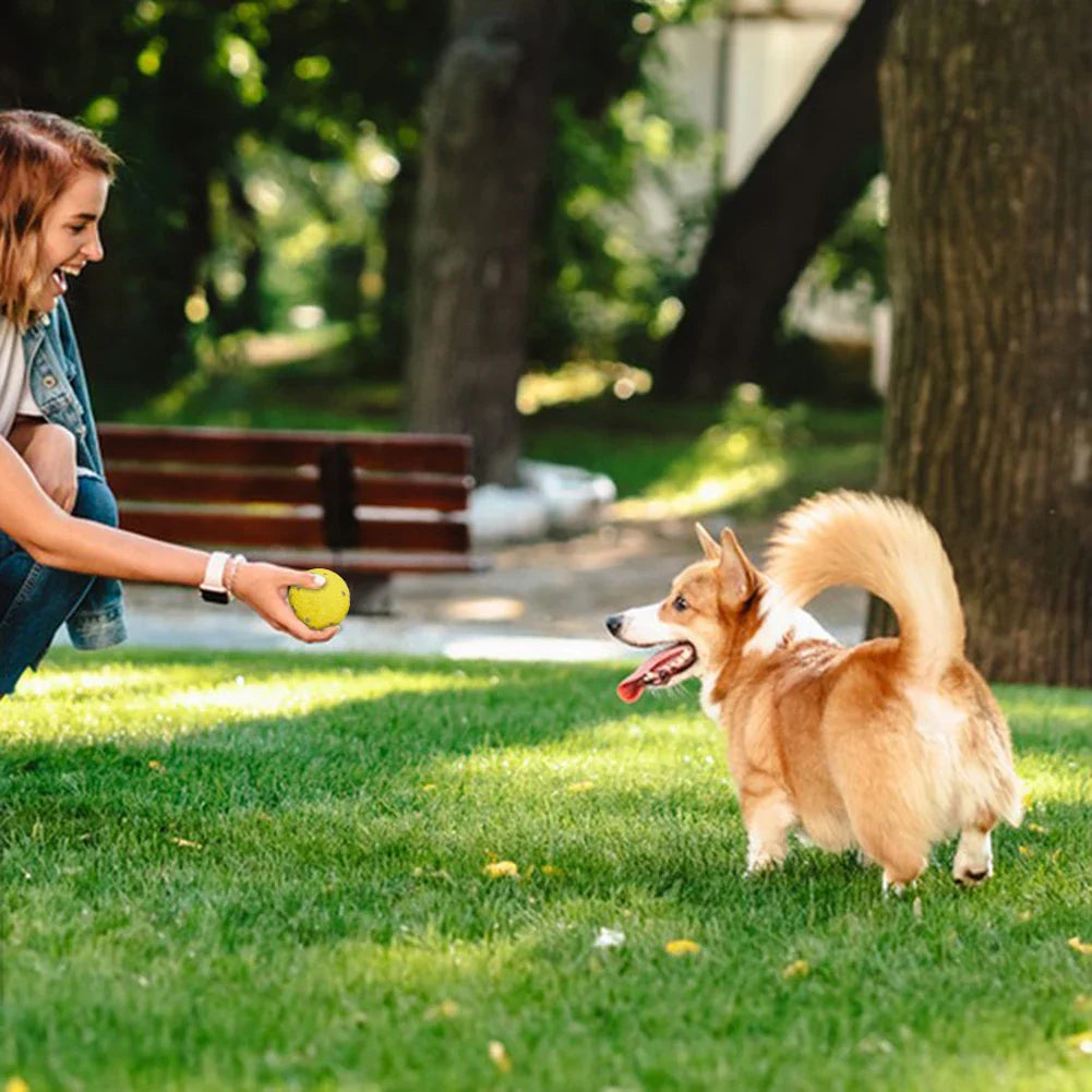 HOBBAGGO Squeaky Dog Ball – Interactive Chew & Teeth Clean Toy