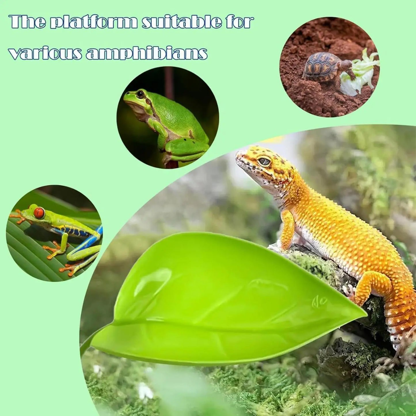 Leaf Suction Cup Basking Shelf for Frogs, Geckos & Reptiles