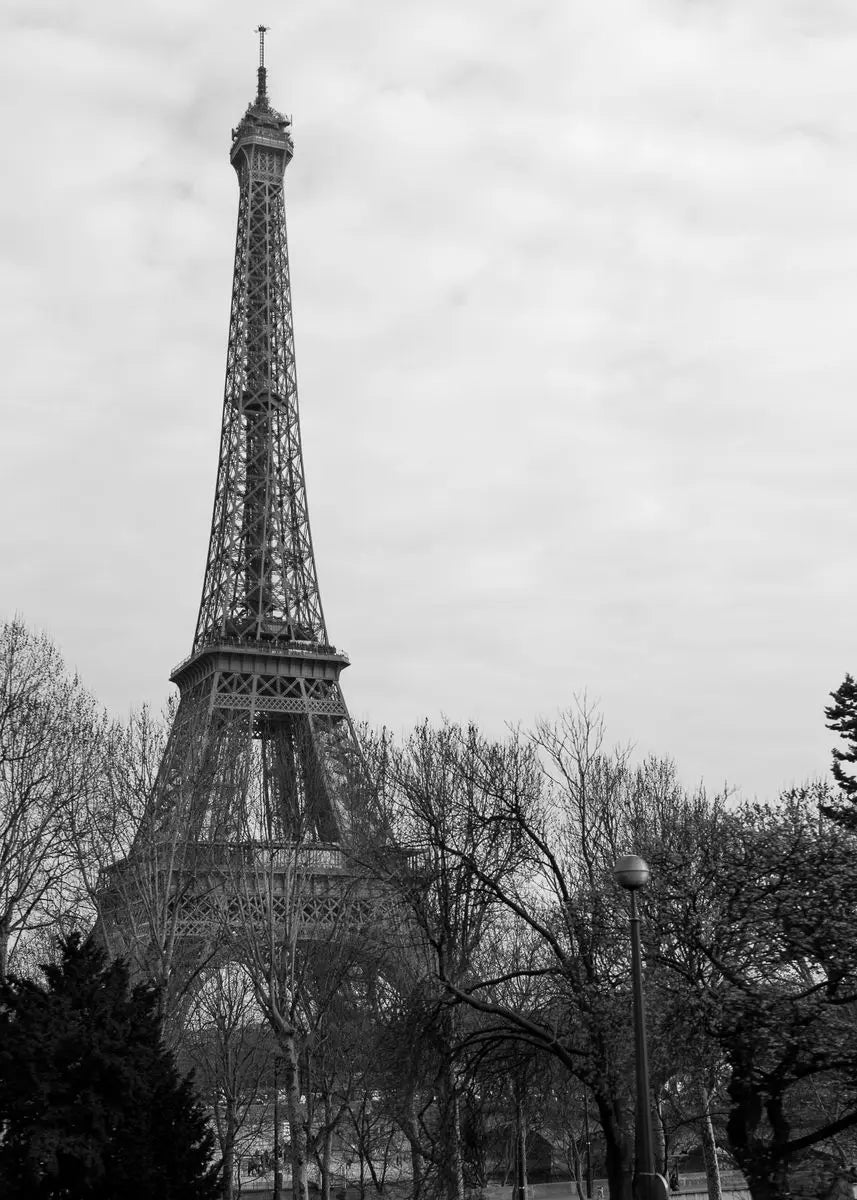Eiffel Tower Black & White Canvas Wall Art | Paris Print