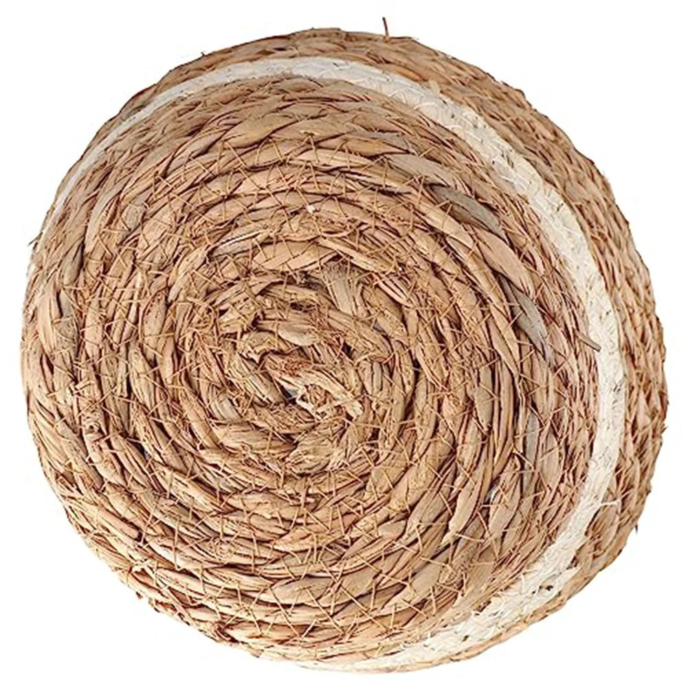 Handwoven Straw Plant Basket with Leak-Proof Liner | 3 Sizes