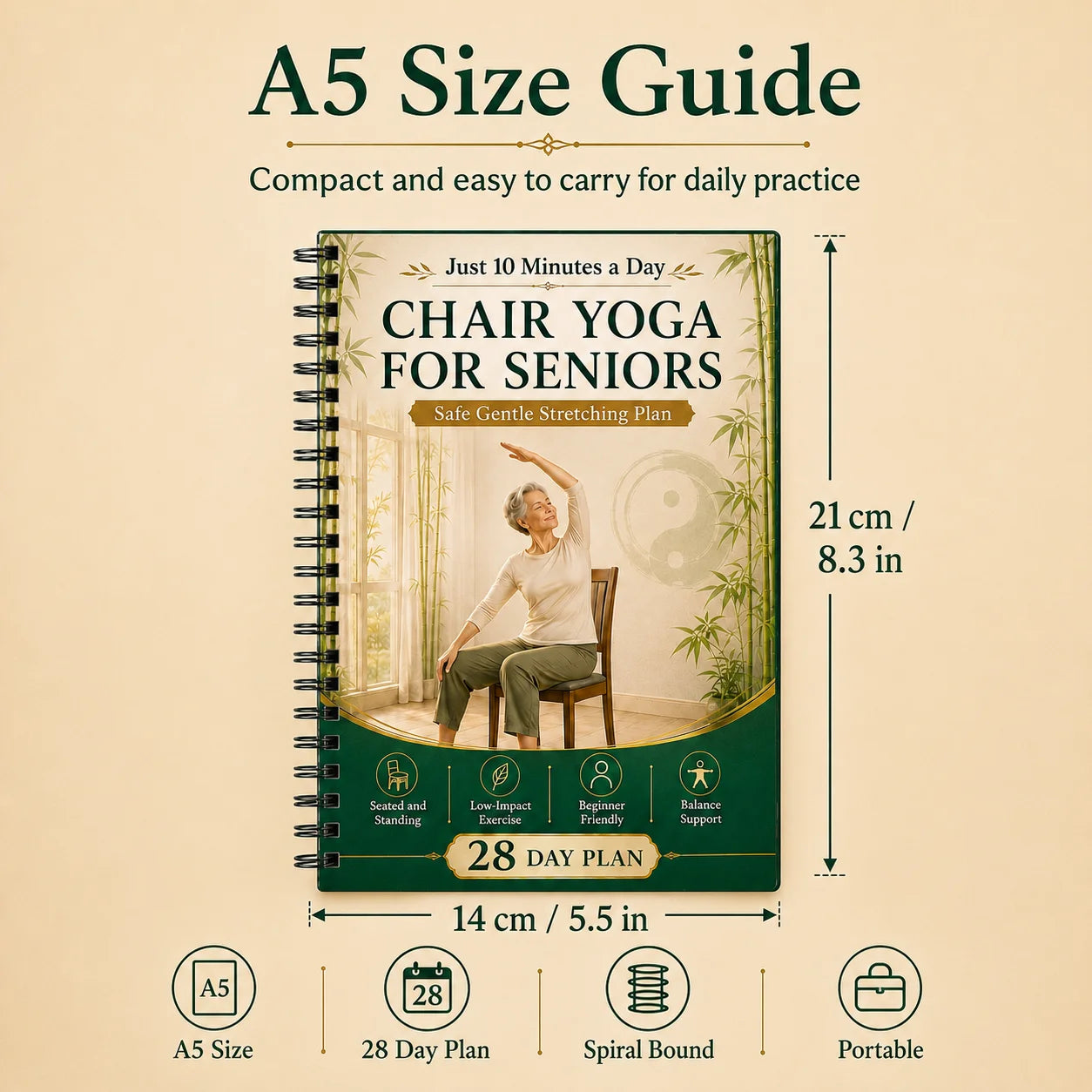 Chair Supported Tai Chi Walking Yoga Seniors A5 Spiral 28 Day