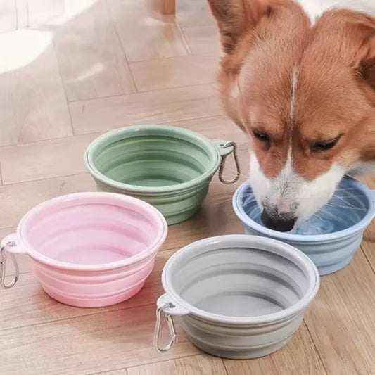 Foldable Silicone Pet Bowl – Portable Travel Dog & Cat Feeder Foldable Pet Bowl Oasis Select