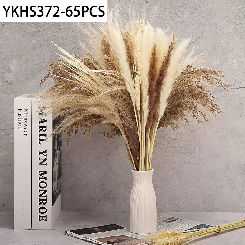 Natural Dried Pampas Grass Bunny Tails Bouquet | Boho Decor