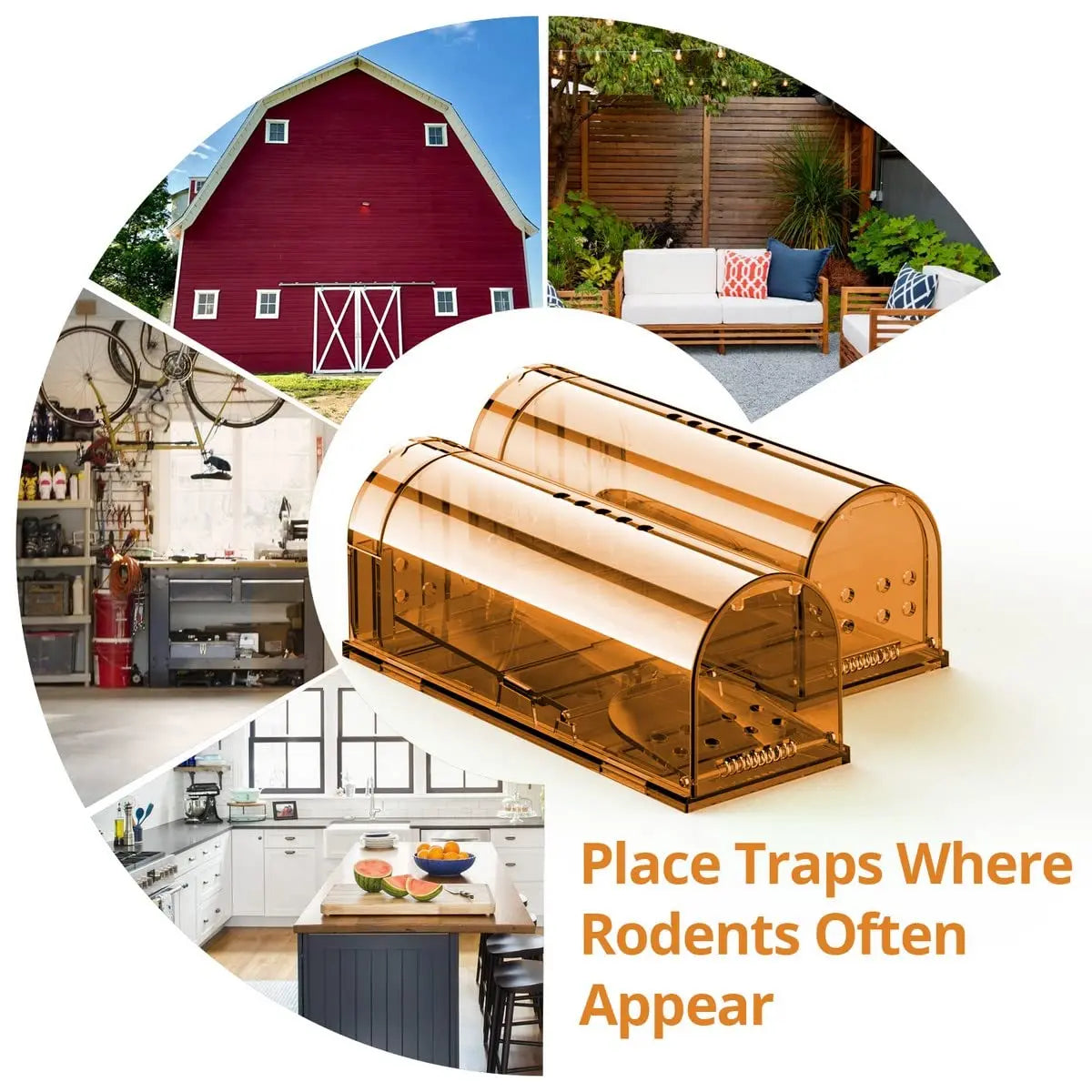 1Pc Mouse Trap Cage No Kill Animal Pet Control Cage Reusable Mice Rodent Catcher Rat Trap Peaceful Pleasures Health and Wellness