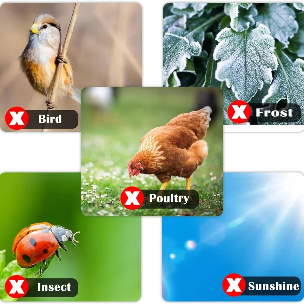 Fruit Tree Insect & Bird Net Cover | Garden Crop Protection