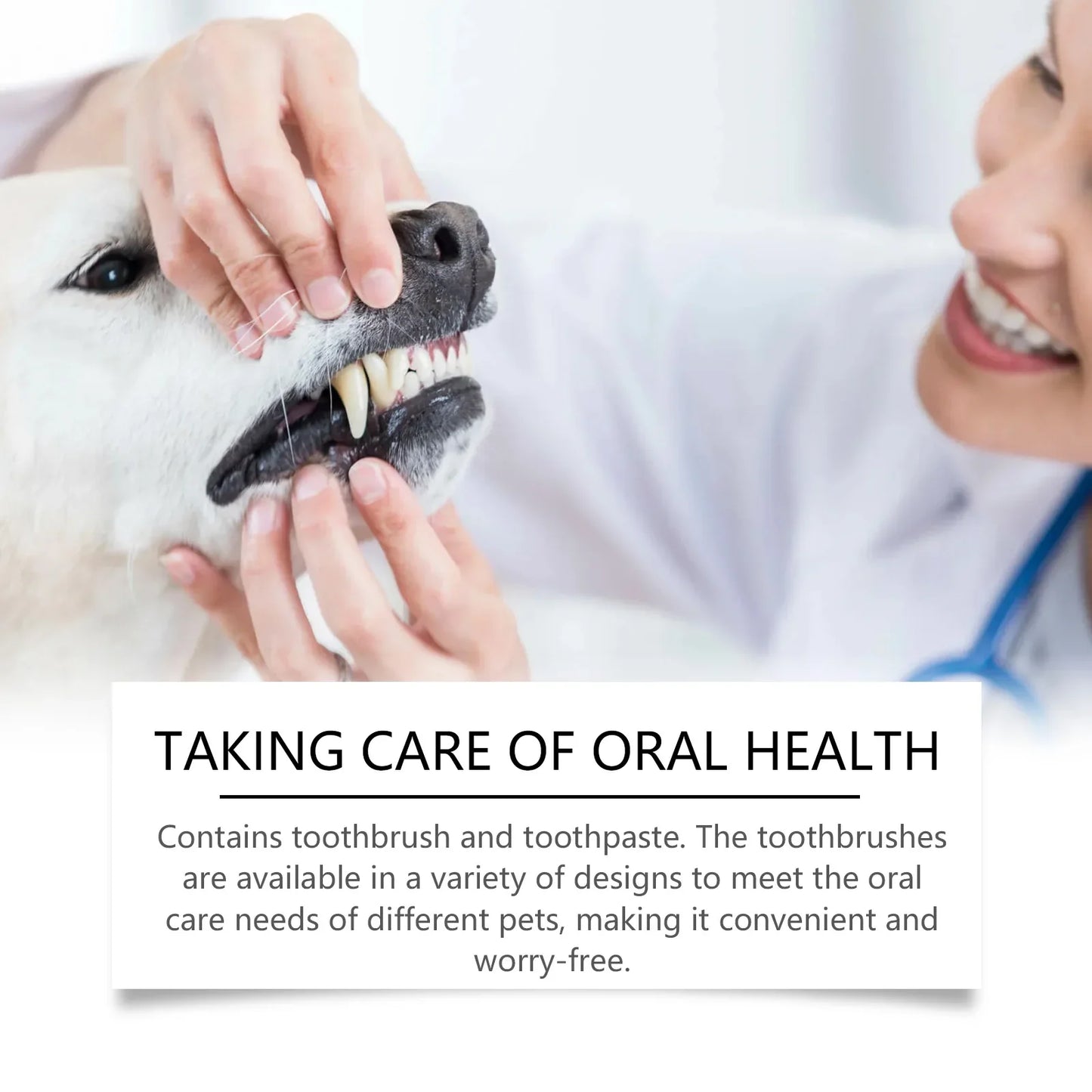 Dog Dental Care Kit – Pet Toothbrush & Toothpaste Set 100g
