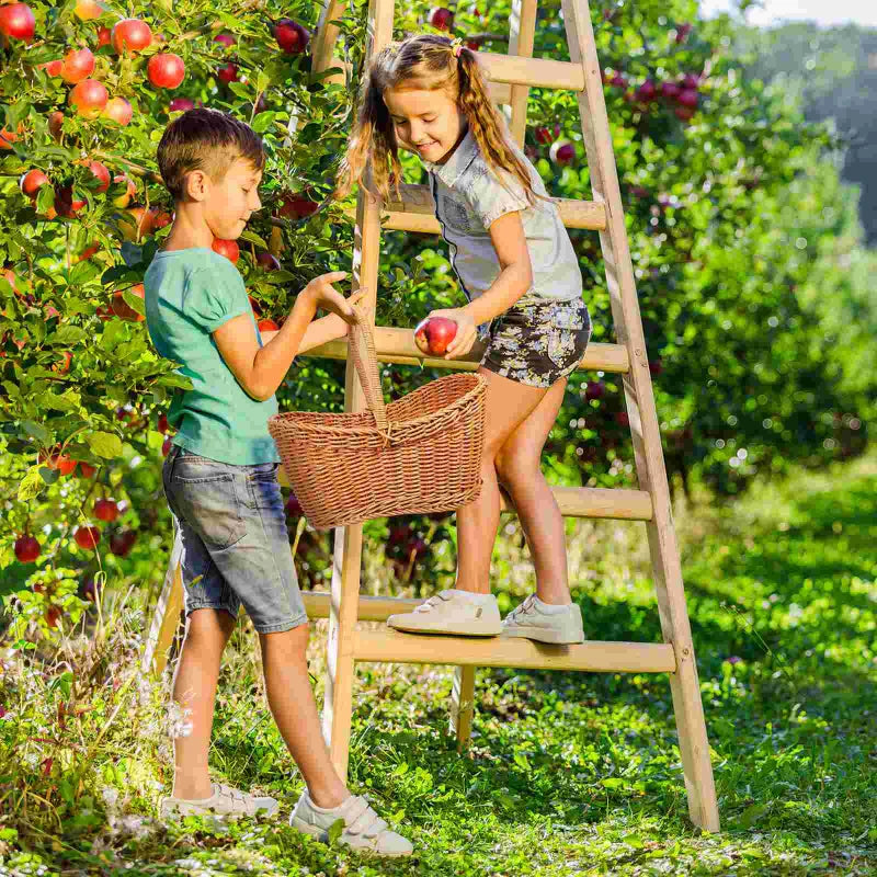 Plastic woven basket Vine flower basket hand-woven portable Bread storage Handles basket Gift For picnic outdoor shopping props Peaceful Pleasures Health and Wellness