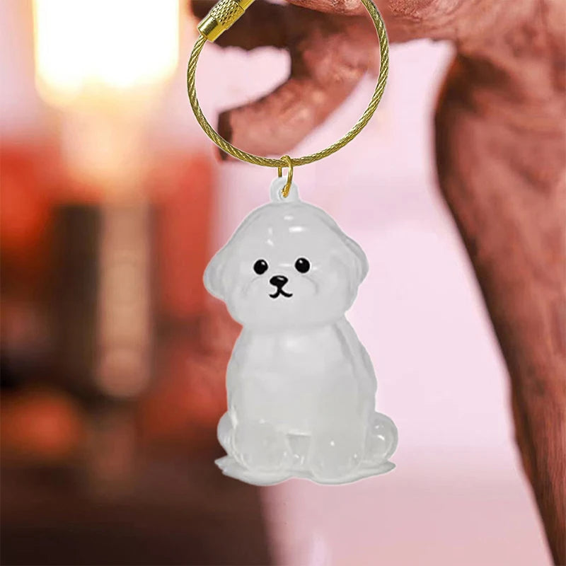 Clear Dog Fur Keepsake Keychain – DIY Pet Memorial Gift