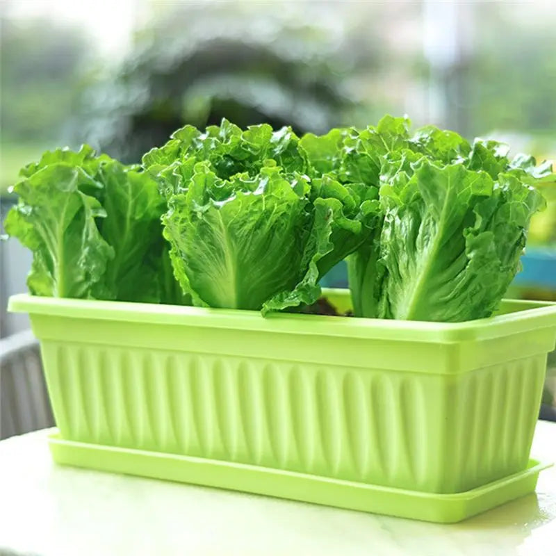 A36T-Nursery Pot Absorbing Water Vegetable Pot Long Strip Double Layer Flower Pot Plastic Basin For Indoor Garden Balcony Peaceful Pleasures Health and Wellness