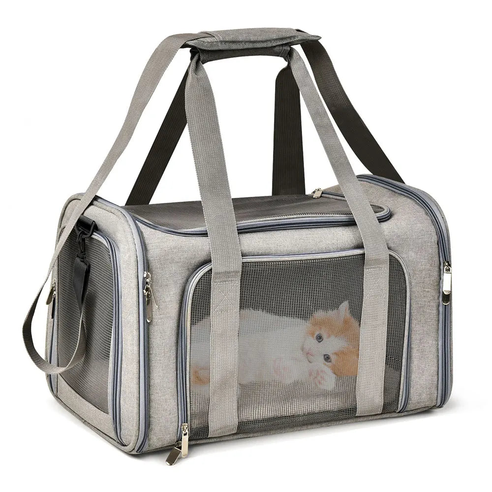 Airline Approved Pet Carrier Backpack for Small Dogs & Cats