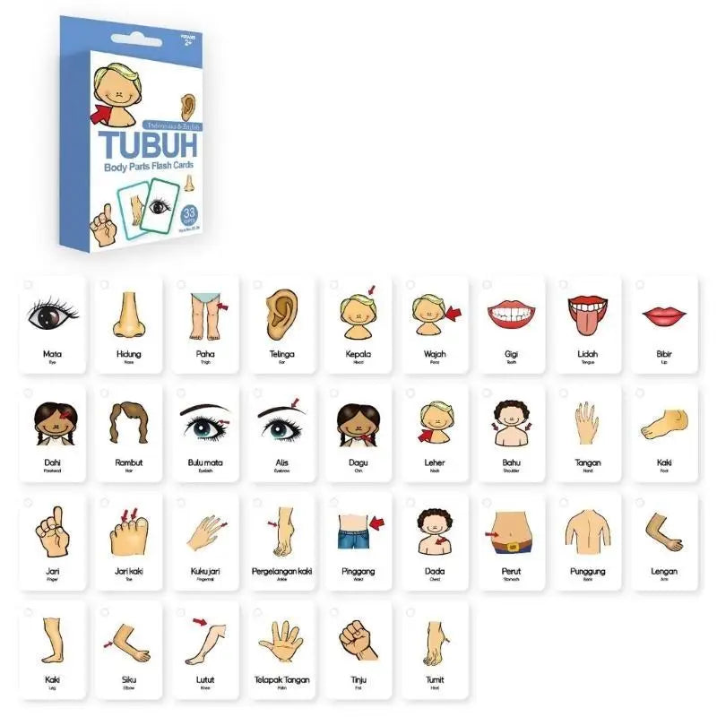 33-Piece Indonesian & English Bilingual Flashcards for Kids