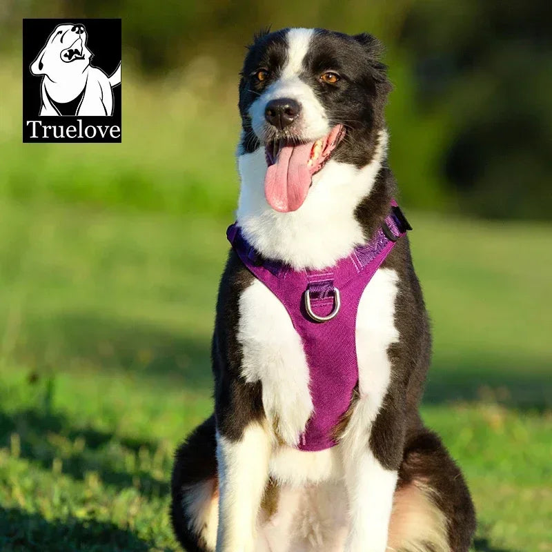 TRUELOVE Pet Nylon Harness Light-weight Double-H Shape Embroidery 5 Adjustable Positions Medium and Large Dog Waterproof YH1807 Peaceful Pleasures Health and Wellness