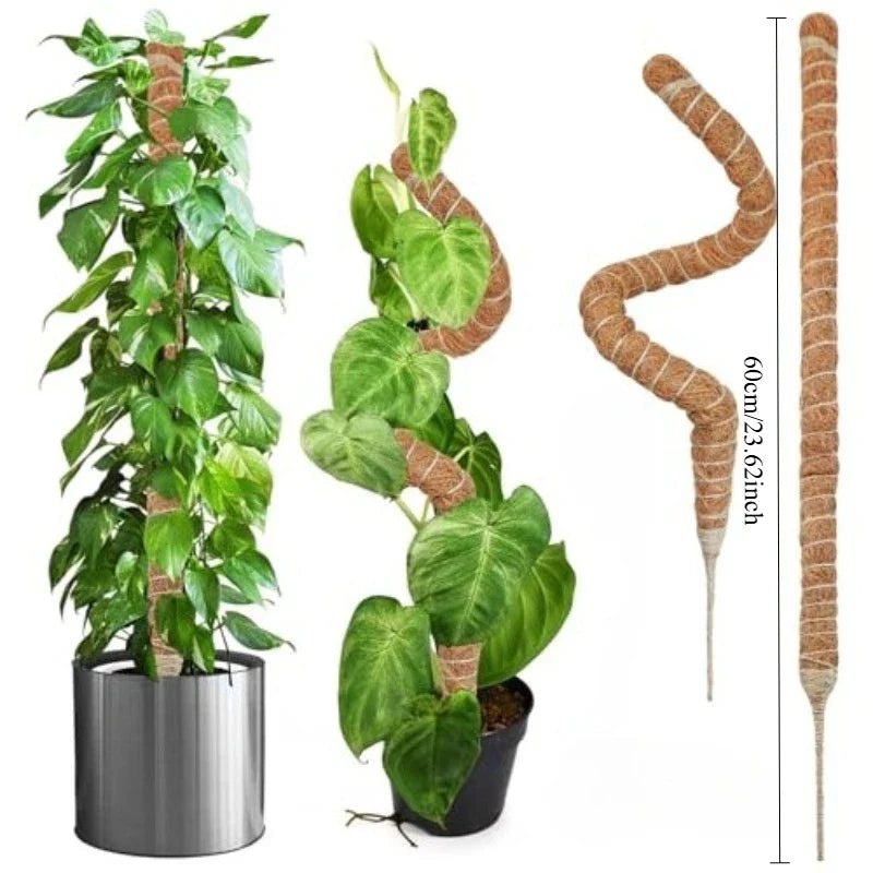 Bendable Coco Coir Moss Pole for Monstera & Climbing Plants