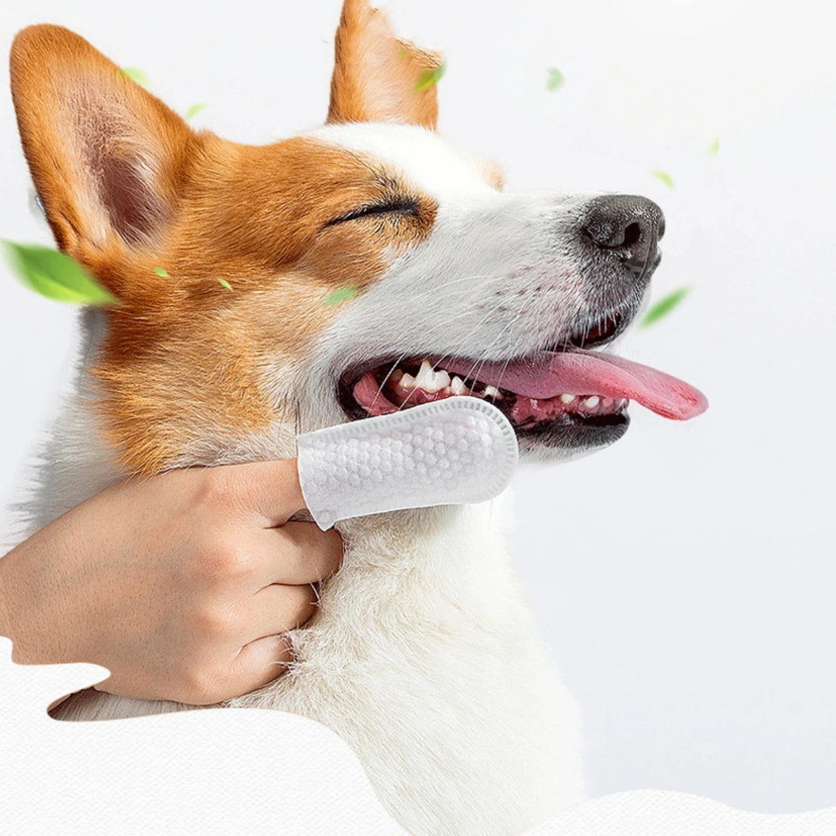 Pet Finger Cot Wipes for Dogs & Cats – 50 Pack Disposable
