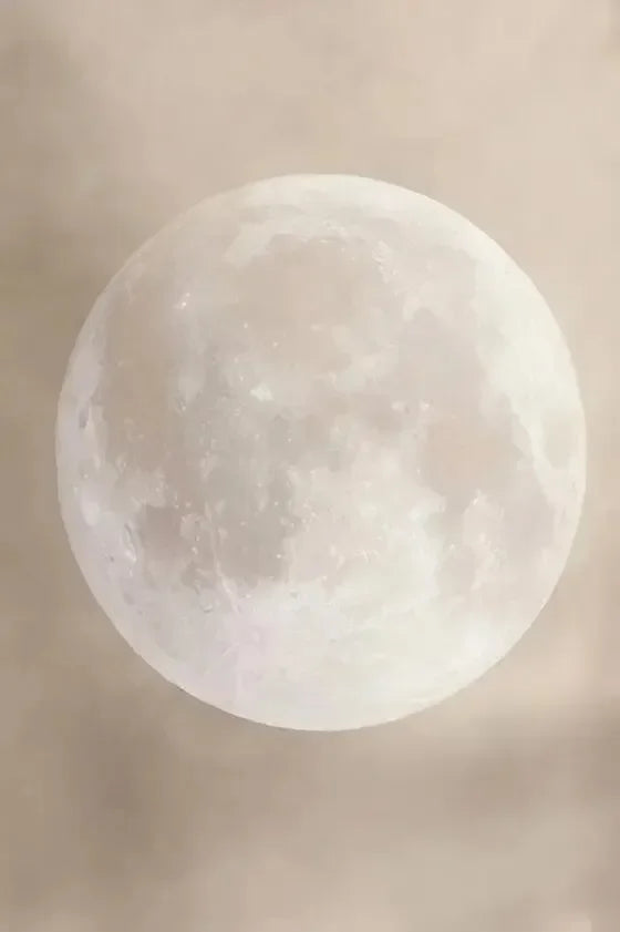 Retro Beige Full Moon Canvas Wall Art | Lunar Print Décor
