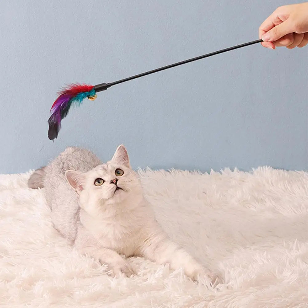 Cat Feather Wand Toy – Interactive Teaser for Indoor Cats (5-Pack)