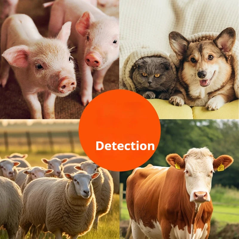 High Magnification Constant Temperature Heating Biological Microscope for Professional Aquaculture To Observe Sperm, Eggs Peaceful Pleasures Health and Wellness
